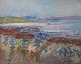 Agapanthus, Scilly Isles