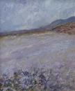 Field of Flax, Donegal, Ireland