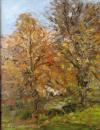 Rodborough Autumn