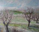 Almond trees, Mallorca- SOLD