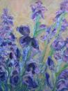 Irises SOLD